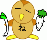 lAQyM